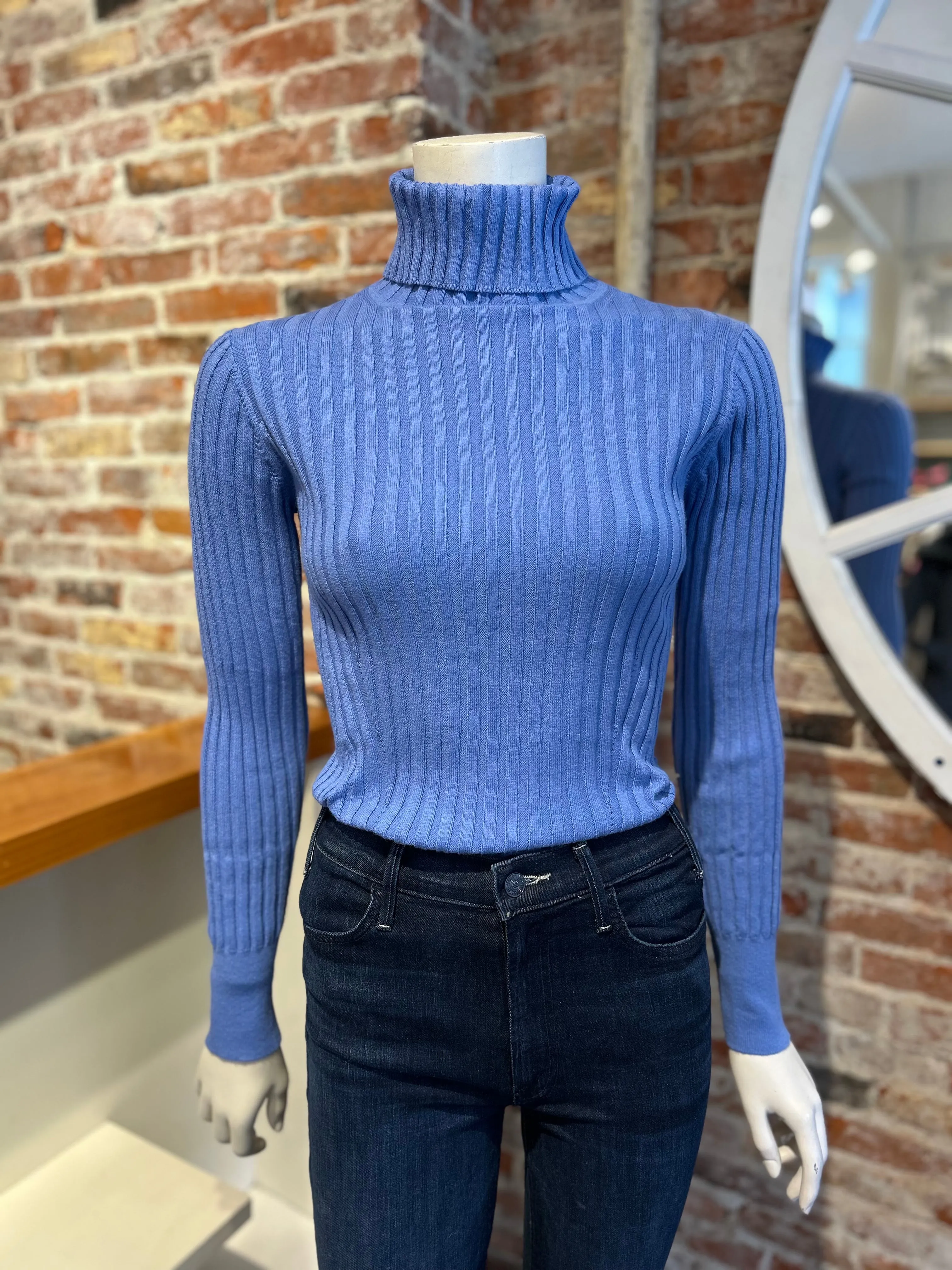 ALASHAN CASHMERE COTTON BLAIR RIB TURTLENECK