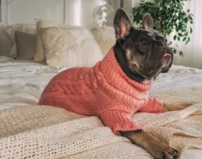 Hip Doggie Angora Cable Knit Sweater